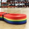 HKOutdoors Narrow Goods 1" Polyester Webbing 1500 Lb - Rainbow