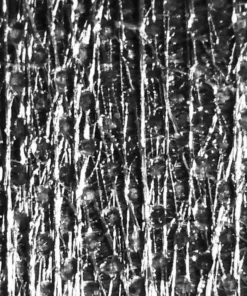 Ripstop By The Roll LiteSkin® LS07 X-Pac®