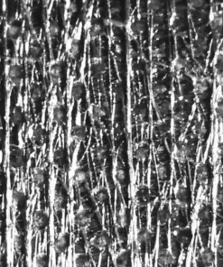 Ripstop By The Roll LiteSkin® LS21 X-Pac®