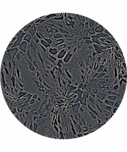 OutdoorINK Prym1 Camo Print On-Demand Fabric - Premium Customizable Camouflage Material 40 OutdoorINK Prym1 Camo - Print On-Demand Fabric