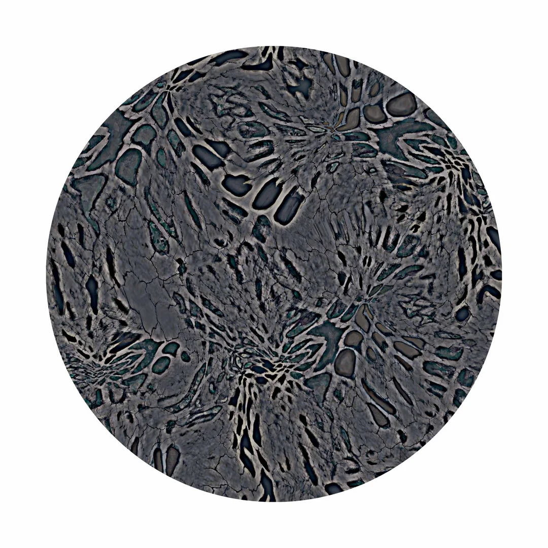 OutdoorINK Prym1 Camo Print On-Demand Fabric - Premium Customizable Camouflage Material 9 OutdoorINK Prym1 Camo - Print On-Demand Fabric