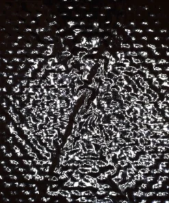 Ripstop By The Roll X-Pac® RX36