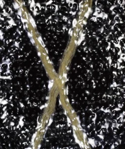 Ripstop By The Roll X-Pac® X50 Tactical - Full Roll